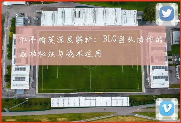 和平精英深度解析：BLG团队协作的成功秘诀与战术运用
