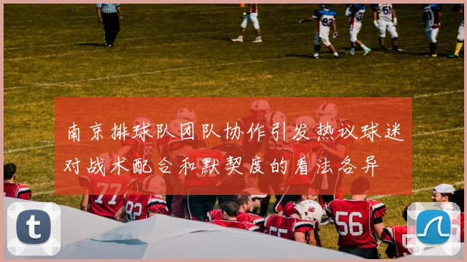 南京排球队团队协作引发热议球迷对战术配合和默契度的看法各异